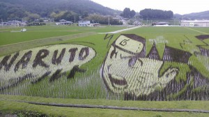 tanbo-japanese-rice-field-art-13.jpg